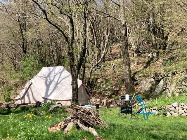 Grande Tente Tipi En Pleine Foret Burzet Kültér fotó